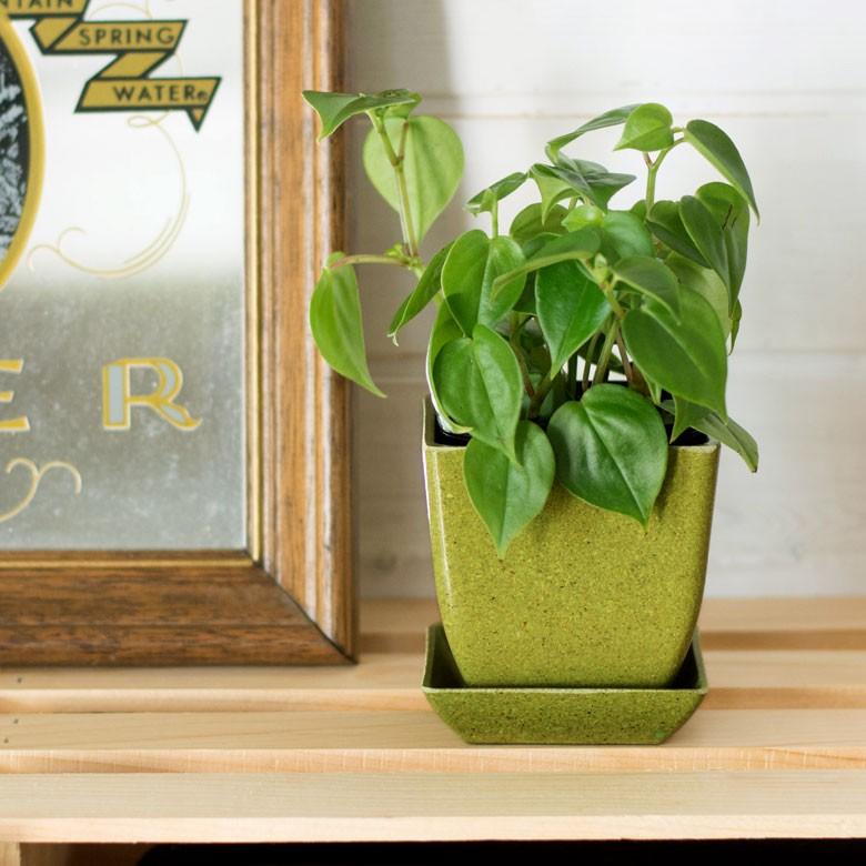 エコポット プランター 植木鉢 小物入れ カバー 鉢 2.8号 ガーデニング 観葉植物 花 鉢植え アメリカ製 おしゃれ 園芸 ベランダ アースカラー 98702 | ブランド登録なし | 02