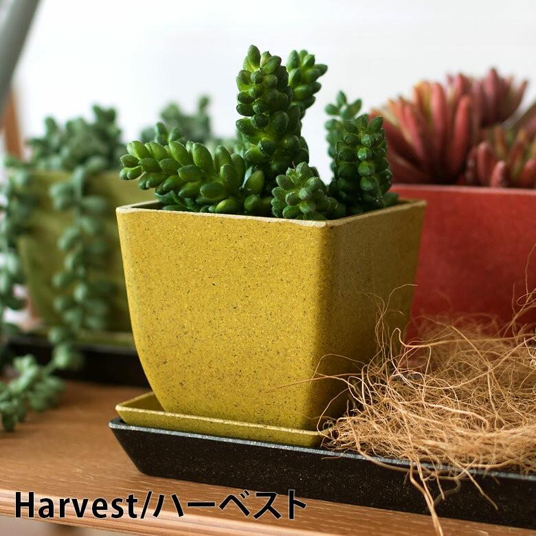 エコポット プランター 植木鉢 小物入れ カバー 鉢 2.8号 ガーデニング 観葉植物 花 鉢植え アメリカ製 おしゃれ 園芸 ベランダ アースカラー 98702 | ブランド登録なし | 09