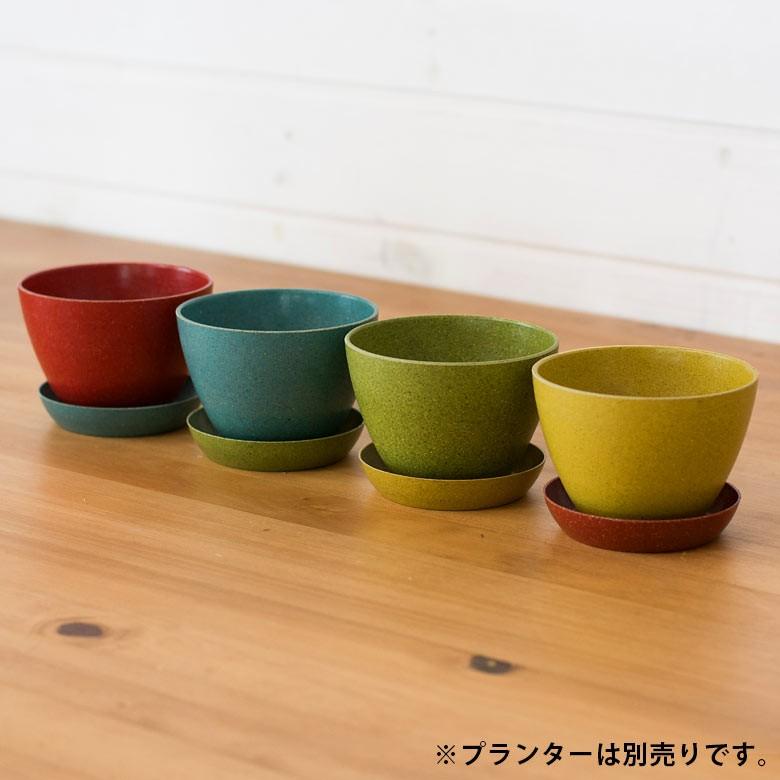 プランターカバー エコポット 植木鉢 プランター カバー 鉢 約9cm ガーデニング 観葉植物 花 アメリカ製 おしゃれ 園芸 ベランダ アースカラー 98703 | ブランド登録なし | 15