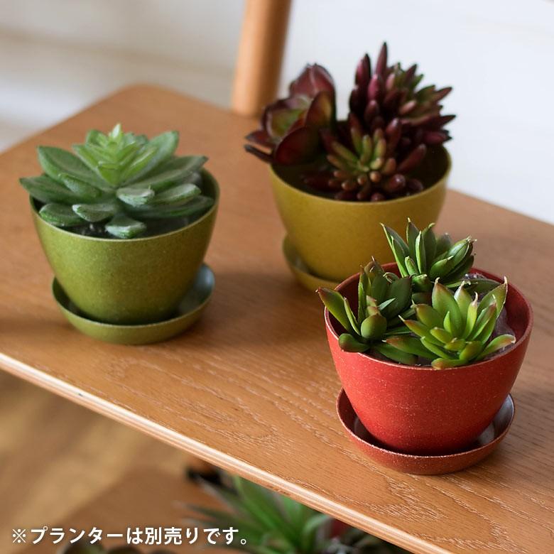 プランターカバー エコポット 植木鉢 プランター カバー 鉢 約9cm ガーデニング 観葉植物 花 アメリカ製 おしゃれ 園芸 ベランダ アースカラー 98703 | ブランド登録なし | 10