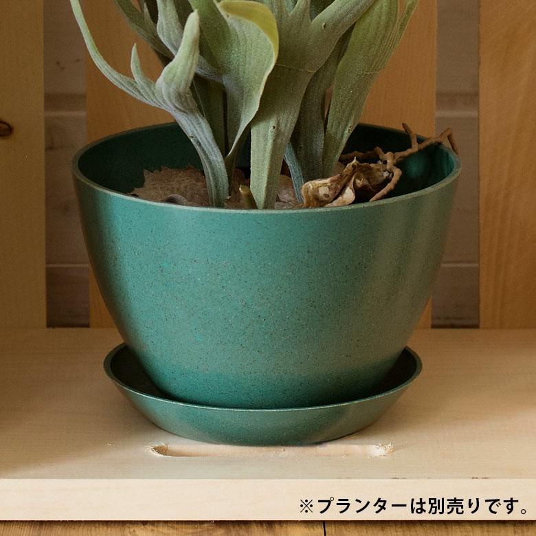 植木鉢 プレート エコプレート 受け皿 鉢皿 3号 円形 約15cm ソーサー 浅皿 ポットソーサー 丸型 ガーデニング 園芸 花 観葉植物 ベランダ おしゃれ 98704 | ブランド登録なし | 05
