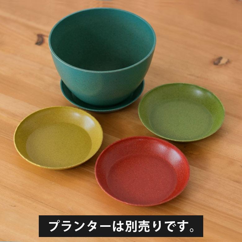 植木鉢 プレート エコプレート 受け皿 鉢皿 3号 円形 約15cm ソーサー 浅皿 ポットソーサー 丸型 ガーデニング 園芸 花 観葉植物 ベランダ おしゃれ 98704 | ブランド登録なし | 09
