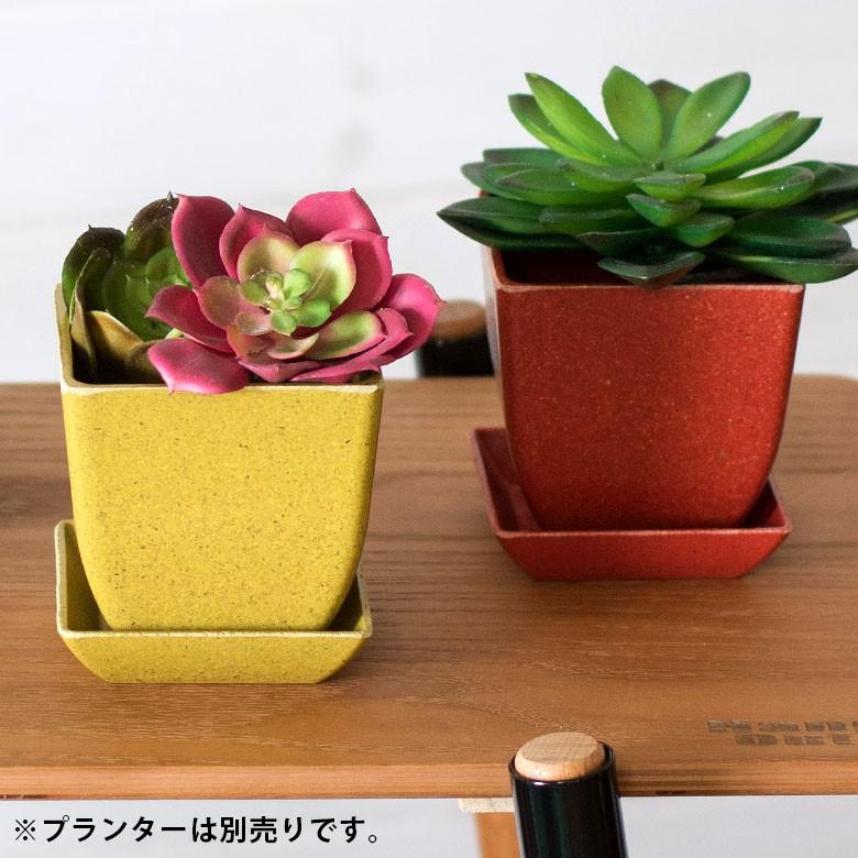 植木鉢 プレート エコプレート 受け皿 鉢皿 2.8号 スクエア形 約8.7cm ソーサー 浅皿 ポットソーサー ガーデニング 園芸 花 観葉植物 ベランダ おしゃれ 98705 | ブランド登録なし | 01