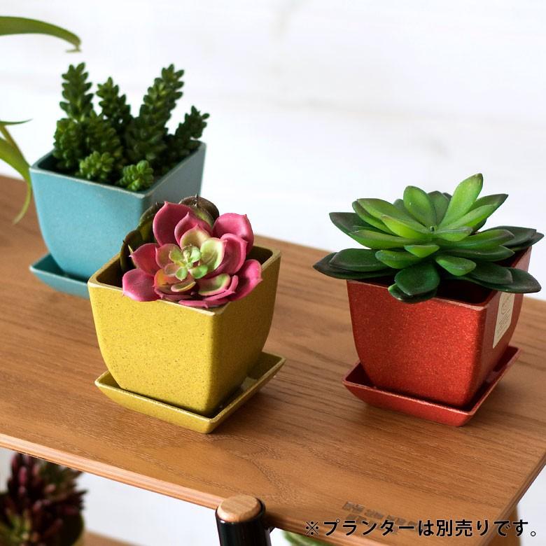 植木鉢 プレート エコプレート 受け皿 鉢皿 2.8号 スクエア形 約8.7cm ソーサー 浅皿 ポットソーサー ガーデニング 園芸 花 観葉植物 ベランダ おしゃれ 98705 | ブランド登録なし | 06