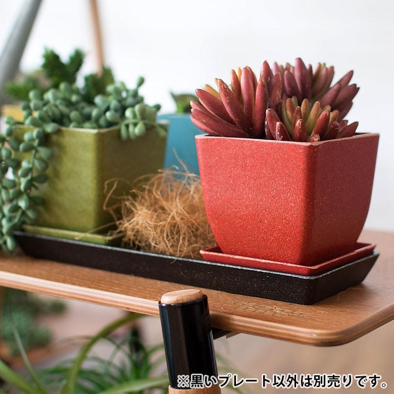 植木鉢プレート エコプレート 植木鉢用 受け皿 鉢皿 スクエア形 ソーサー 浅皿 ポットソーサー 四角 ガーデニング 園芸 花 観葉植物 ベランダ おしゃれ 98706 | ブランド登録なし | 05