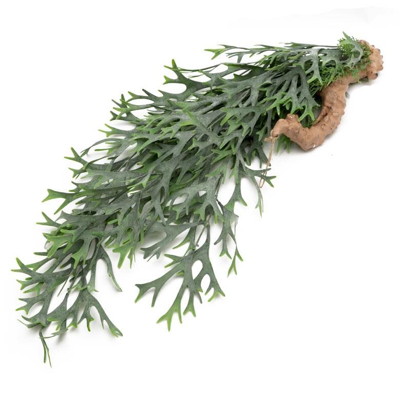 フェイクグリーン ヒガクシダ 造花 観葉植物 インテリアグリーン エアプランツ 着生 垂れ下がり インテリア ガーデニング 98900 | ブランド登録なし | 01