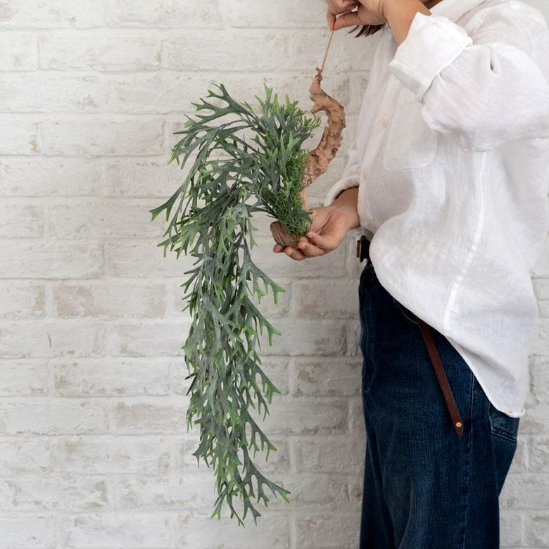 フェイクグリーン ヒガクシダ 造花 観葉植物 インテリアグリーン エアプランツ 着生 垂れ下がり インテリア ガーデニング 98900 | ブランド登録なし | 02