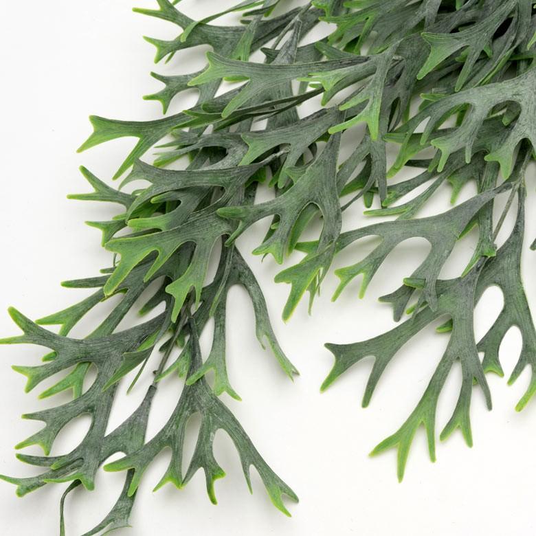 フェイクグリーン ヒガクシダ 造花 観葉植物 インテリアグリーン エアプランツ 着生 垂れ下がり インテリア ガーデニング 98900 | ブランド登録なし | 03