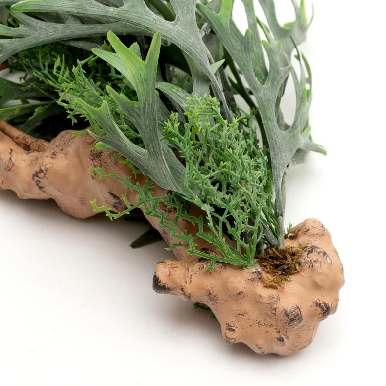 フェイクグリーン ヒガクシダ 造花 観葉植物 インテリアグリーン エアプランツ 着生 垂れ下がり インテリア ガーデニング 98900 | ブランド登録なし | 04