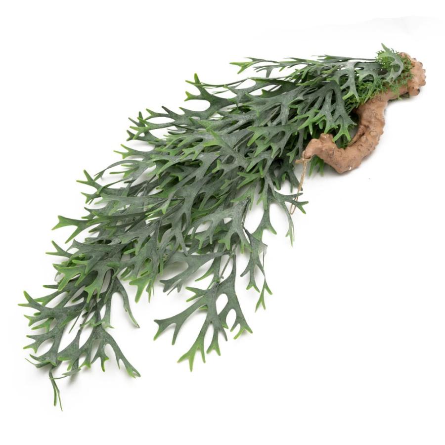 フェイクグリーン ヒガクシダ 造花 観葉植物 インテリアグリーン エアプランツ 着生 垂れ下がり インテリア ガーデニング 98900 | ブランド登録なし | 06