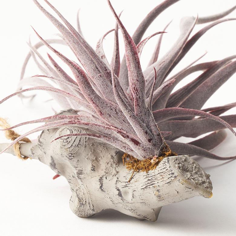 フェイク グリーン チランジア 造花 観葉 植物 インテリア エア プランツ グレー パープル おしゃれ 西海岸 ガーデニング 98902 | ブランド登録なし | 12