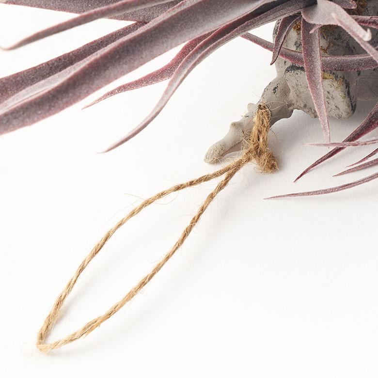 フェイク グリーン チランジア 造花 観葉 植物 インテリア エア プランツ グレー パープル おしゃれ 西海岸 ガーデニング 98902 | ブランド登録なし | 14