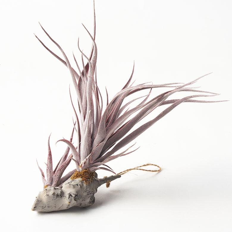 フェイク グリーン チランジア 造花 観葉 植物 インテリア エア プランツ グレー パープル おしゃれ 西海岸 ガーデニング 98902 | ブランド登録なし | 16