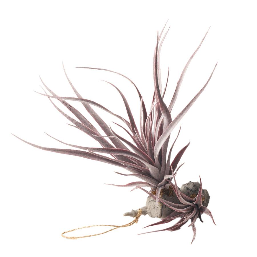 フェイク グリーン チランジア 造花 観葉 植物 インテリア エア プランツ グレー パープル おしゃれ 西海岸 ガーデニング 98902 | ブランド登録なし | 18