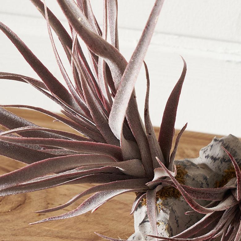 フェイク グリーン チランジア 造花 観葉 植物 インテリア エア プランツ グレー パープル おしゃれ 西海岸 ガーデニング 98902 | ブランド登録なし | 01