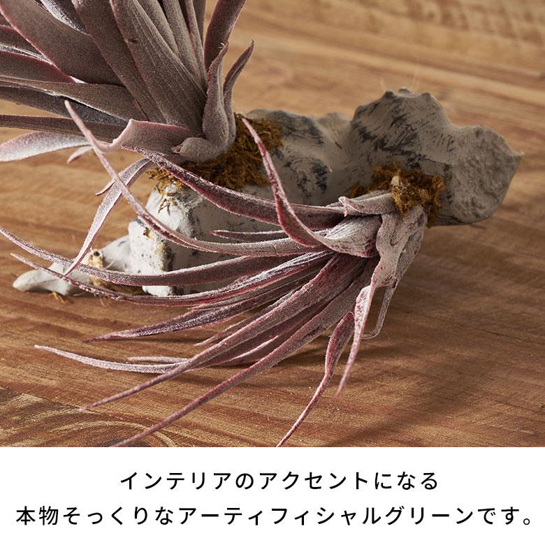 フェイク グリーン チランジア 造花 観葉 植物 インテリア エア プランツ グレー パープル おしゃれ 西海岸 ガーデニング 98902 | ブランド登録なし | 04