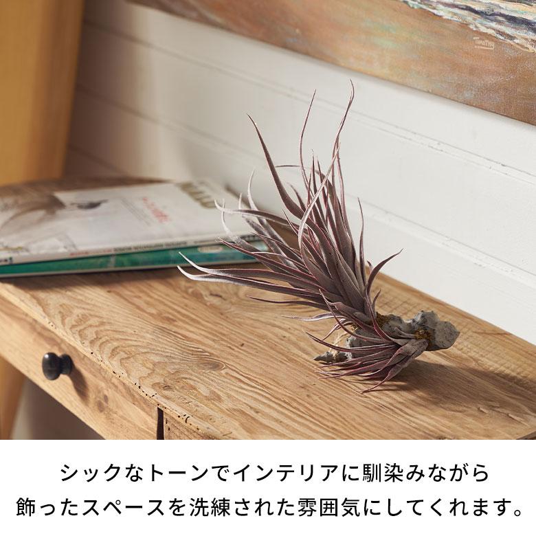 フェイク グリーン チランジア 造花 観葉 植物 インテリア エア プランツ グレー パープル おしゃれ 西海岸 ガーデニング 98902 | ブランド登録なし | 05