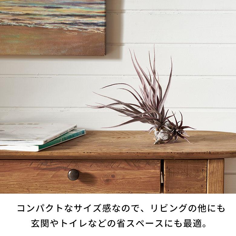 フェイク グリーン チランジア 造花 観葉 植物 インテリア エア プランツ グレー パープル おしゃれ 西海岸 ガーデニング 98902 | ブランド登録なし | 07