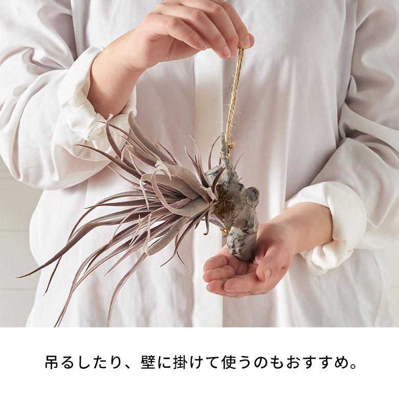 フェイク グリーン チランジア 造花 観葉 植物 インテリア エア プランツ グレー パープル おしゃれ 西海岸 ガーデニング 98902 | ブランド登録なし | 08