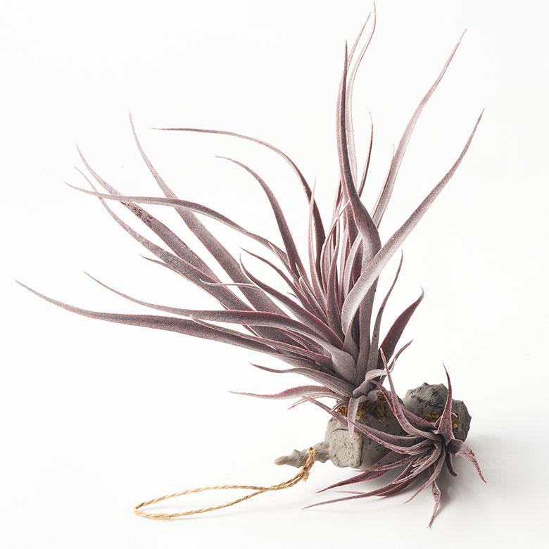 フェイク グリーン チランジア 造花 観葉 植物 インテリア エア プランツ グレー パープル おしゃれ 西海岸 ガーデニング 98902 | ブランド登録なし | 09