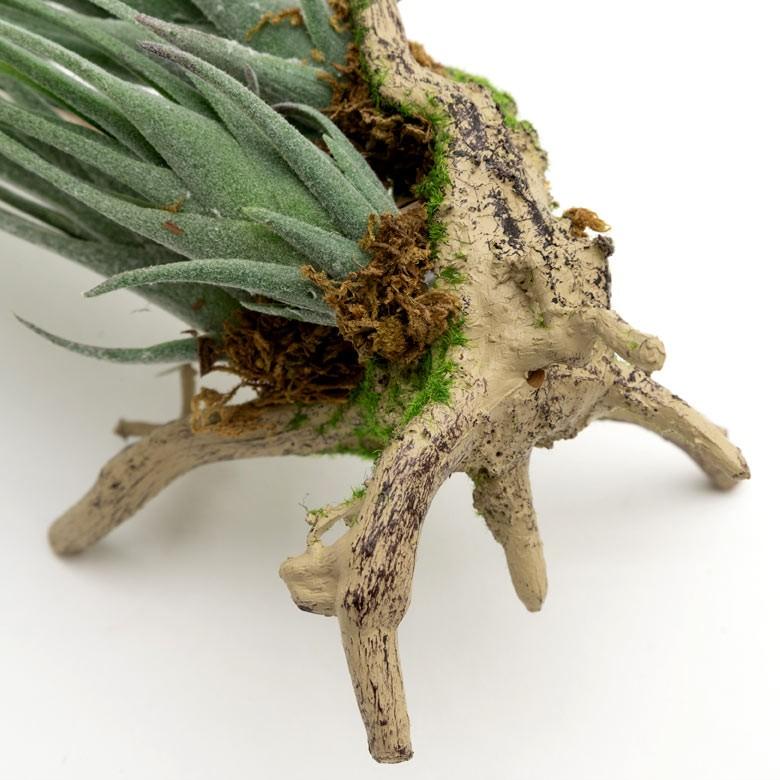 フェイクグリーン チランジア 造花 観葉植物 インテリアグリーン エアプランツ 着生 インテリア ガーデニング 98903 | ブランド登録なし | 04