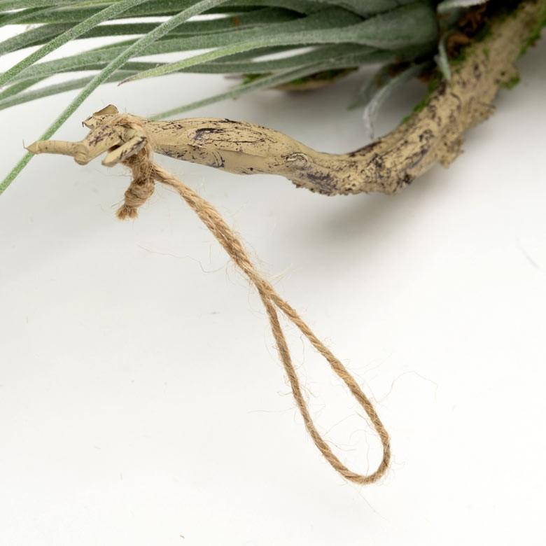 フェイクグリーン チランジア 造花 観葉植物 インテリアグリーン エアプランツ 着生 インテリア ガーデニング 98903 | ブランド登録なし | 06