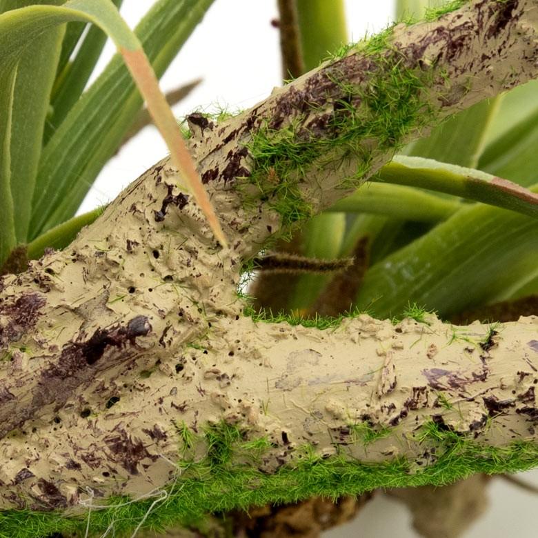 フェイクグリーン チランジア 造花 観葉植物 インテリアグリーン エアプランツ 枝 インテリア ガーデニング 98904 | ブランド登録なし | 06