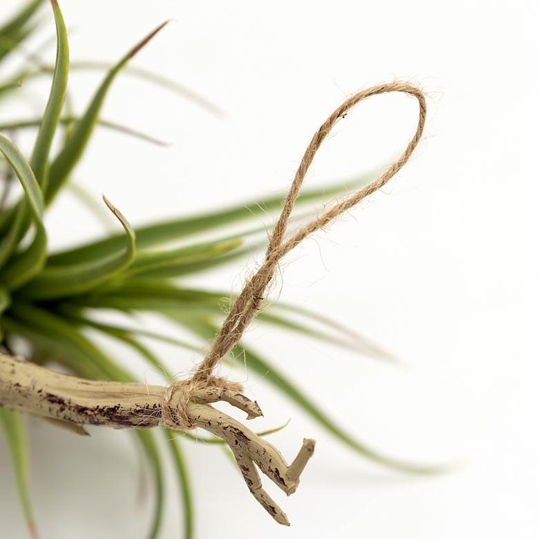 フェイクグリーン チランジア 造花 観葉植物 インテリアグリーン エアプランツ 枝 インテリア ガーデニング 98904 | ブランド登録なし | 07