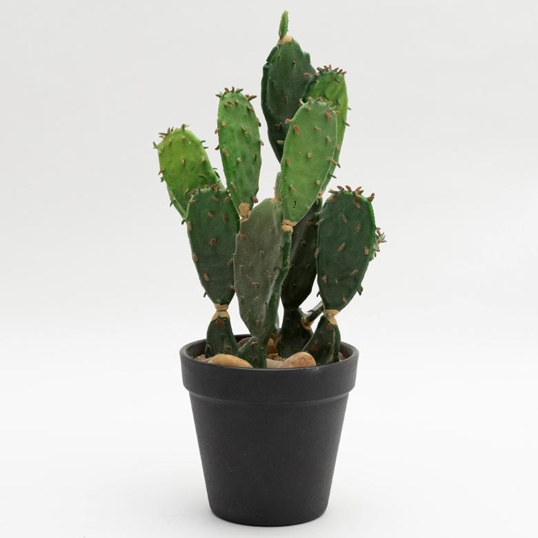 フェイクグリーン サボテン 造花 観葉植物 インテリアグリーン 多肉植物 鉢植え ポット インテリア ガーデニング 98907 | ブランド登録なし | 01
