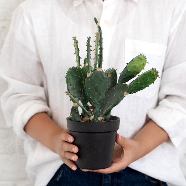 フェイクグリーン サボテン 造花 観葉植物 インテリアグリーン 多肉植物 鉢植え ポット インテリア ガーデニング 98907 | ブランド登録なし | 02