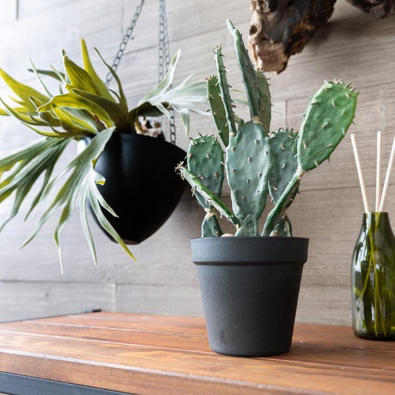フェイクグリーン サボテン 造花 観葉植物 インテリアグリーン 多肉植物 鉢植え ポット インテリア ガーデニング 98907 | ブランド登録なし | 03
