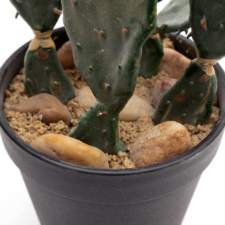 フェイクグリーン サボテン 造花 観葉植物 インテリアグリーン 多肉植物 鉢植え ポット インテリア ガーデニング 98907 | ブランド登録なし | 05