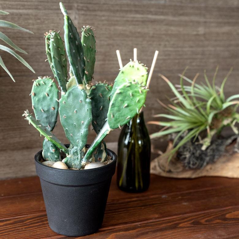 フェイクグリーン サボテン 造花 観葉植物 インテリアグリーン 多肉植物 鉢植え ポット インテリア ガーデニング 98907 | ブランド登録なし | 07