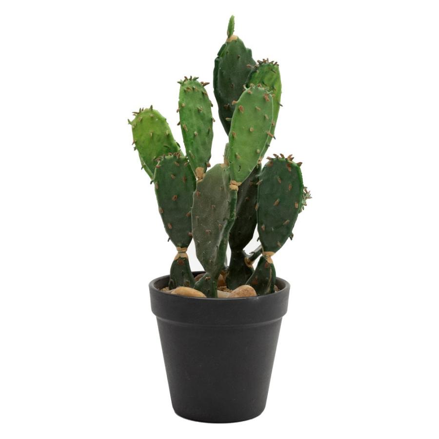 フェイクグリーン サボテン 造花 観葉植物 インテリアグリーン 多肉植物 鉢植え ポット インテリア ガーデニング 98907 | ブランド登録なし | 08