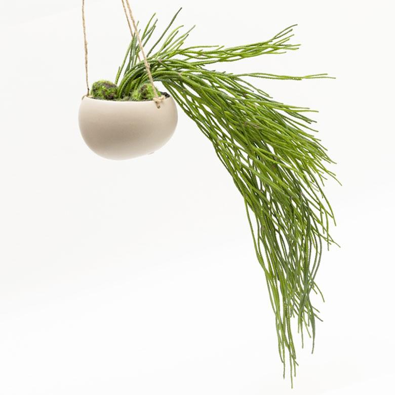 フェイクグリーン 造花 ハンギング ポット付き グリーン 観葉植物 50cm ハンギングポット 陶器 吊り下げ インテリア おしゃれ 98909 | ブランド登録なし | 02