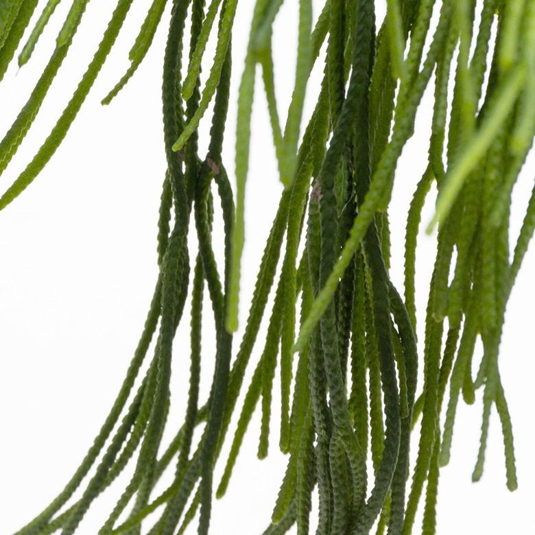 フェイクグリーン 造花 ハンギング ポット付き グリーン 観葉植物 50cm ハンギングポット 陶器 吊り下げ インテリア おしゃれ 98909 | ブランド登録なし | 03