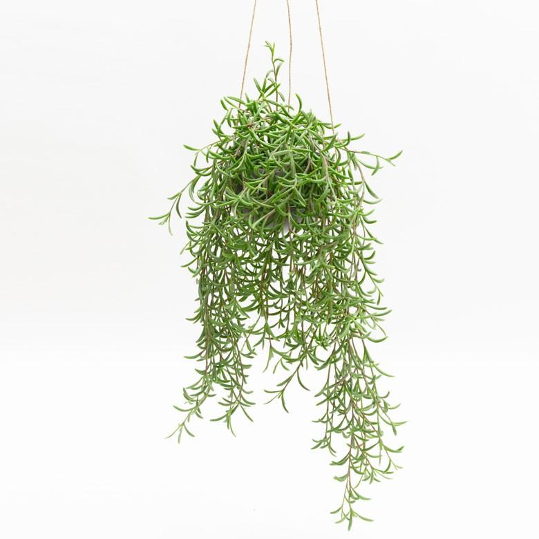 フェイクグリーン 造花 ハンギング ポット付き グリーン 観葉植物 55cm ハンギングポット 陶器 吊り下げ インテリア おしゃれ 98910 | ブランド登録なし | 02