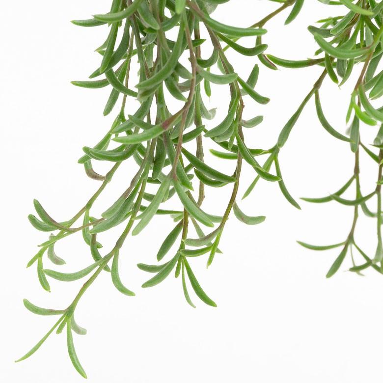 フェイクグリーン 造花 ハンギング ポット付き グリーン 観葉植物 55cm ハンギングポット 陶器 吊り下げ インテリア おしゃれ 98910 | ブランド登録なし | 04