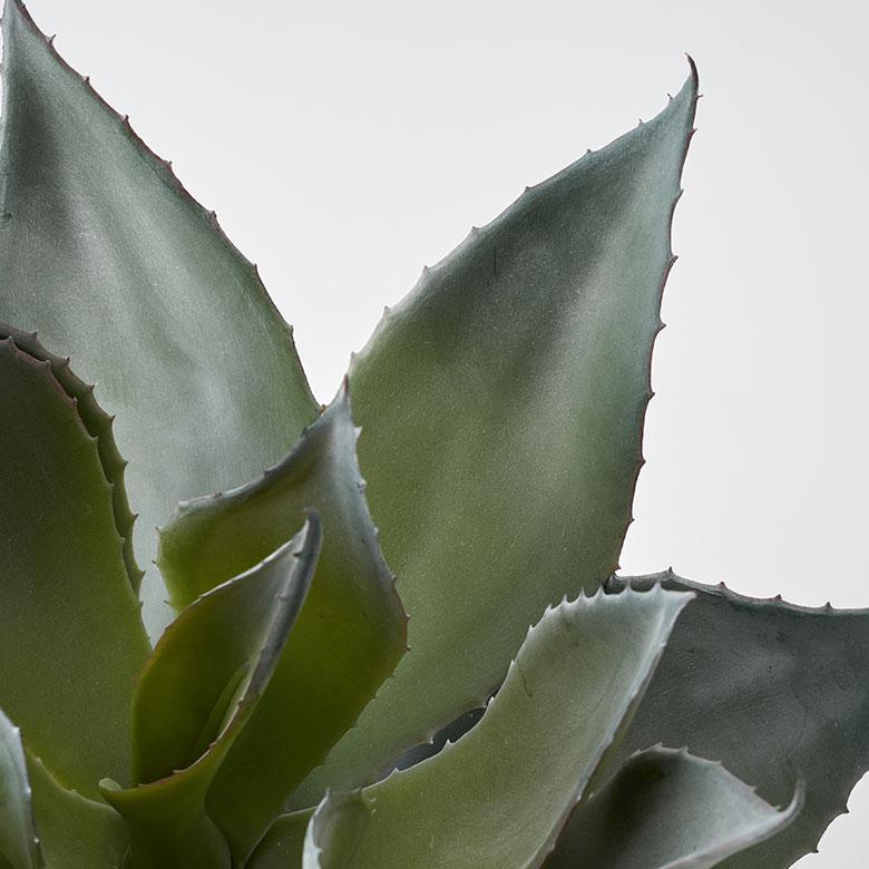 フェイク グリーン アガベ 高さ 32cm 観葉 植物 アーティフィシャル プランツ リュウゼツラン ポット 付 人工 多肉 おしゃれ リゾート 雑貨 造花 西海岸 98922 | ブランド登録なし | 09