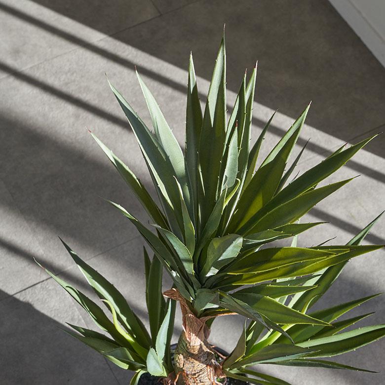 フェイク グリーン アガベ 高さ 58cm 観葉 植物 アーティフィシャル プランツ リュウゼツラン ポット 付 人工 多肉 おしゃれ リゾート 雑貨 造花 西海岸 98923 | ブランド登録なし | 03