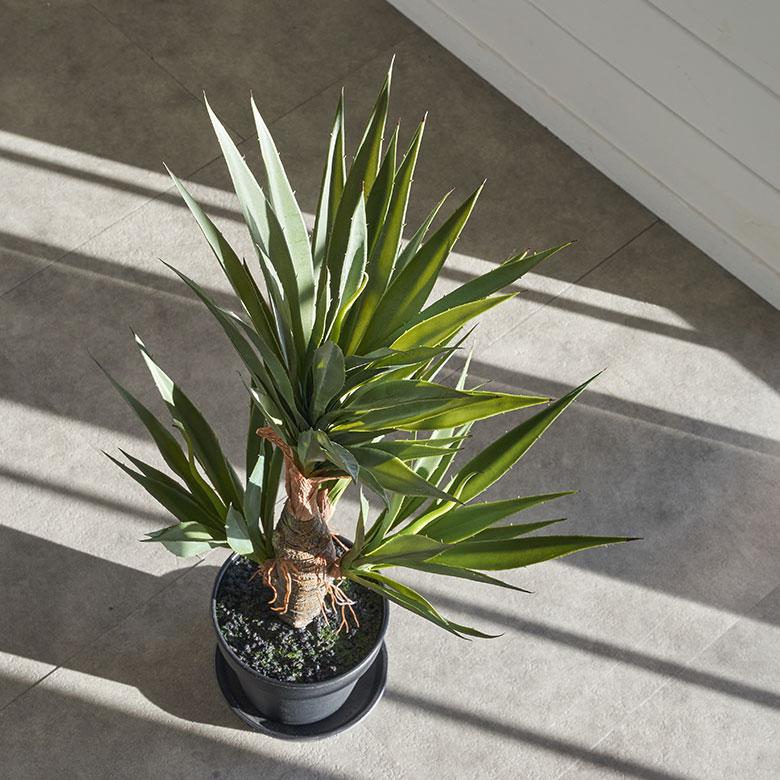 フェイク グリーン アガベ 高さ 58cm 観葉 植物 アーティフィシャル プランツ リュウゼツラン ポット 付 人工 多肉 おしゃれ リゾート 雑貨 造花 西海岸 98923 | ブランド登録なし | 06