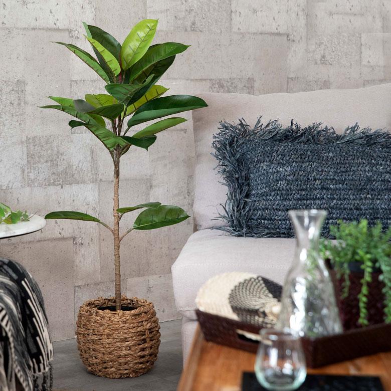 フェイクグリーン ゴムの木 鉢付き 観葉植物 グリーン アーティフィシャルプランツ フェイクプランツ ポット付き ボタニカル インテリア カフェ 店舗 99089 | ブランド登録なし | 16