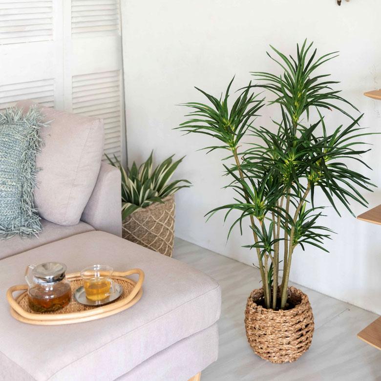 フェイクグリーン ユッカ 鉢付き 観葉植物 グリーン アーティフィシャルプランツ フェイクプランツ ポット付き ボタニカル インテリア カフェ 店舗 99091 | ブランド登録なし | 18