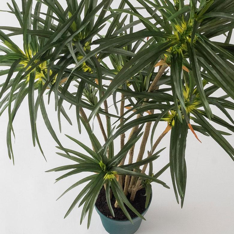 フェイクグリーン ユッカ 鉢付き 観葉植物 グリーン アーティフィシャルプランツ フェイクプランツ ポット付き ボタニカル インテリア カフェ 店舗 99091 | ブランド登録なし | 04
