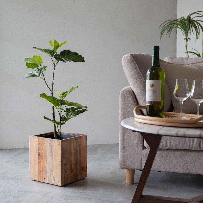 フェイクグリーン フィカス ウンベラータ 鉢付 観葉植物 グリーン アーティフィシャルプランツ フェイクプランツ ポット付 ボタニカル インテリア カフェ 99092 | ブランド登録なし | 12