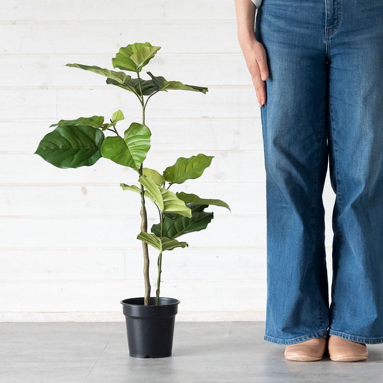 フェイクグリーン フィカス ウンベラータ 鉢付 観葉植物 グリーン アーティフィシャルプランツ フェイクプランツ ポット付 ボタニカル インテリア カフェ 99092 | ブランド登録なし | 02