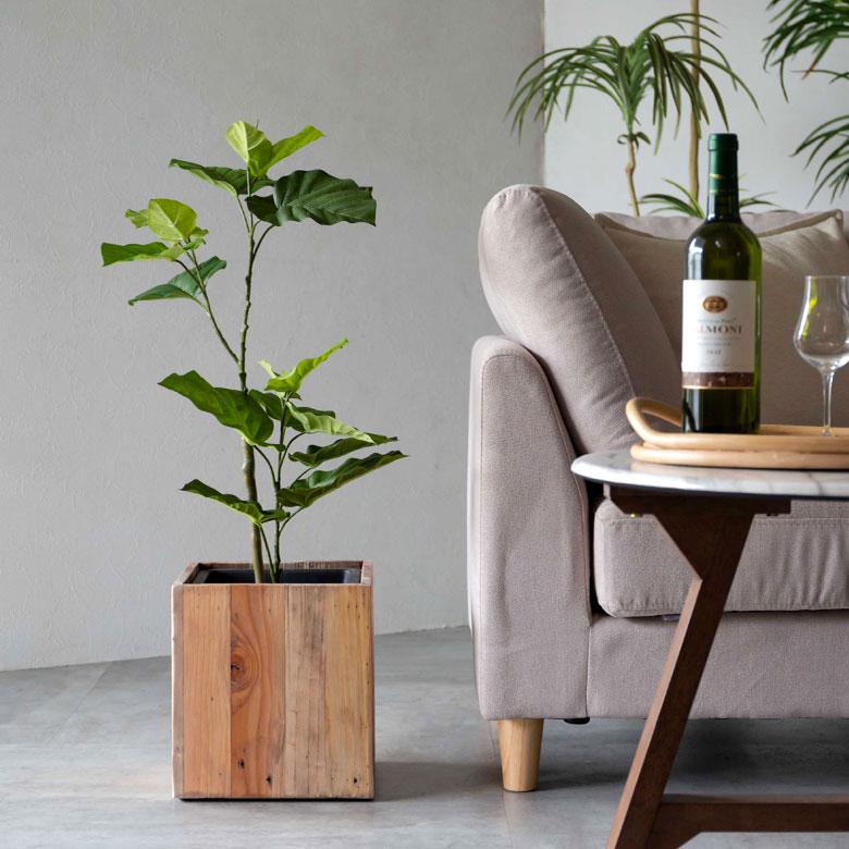 フェイクグリーン フィカス ウンベラータ 鉢付 観葉植物 グリーン アーティフィシャルプランツ フェイクプランツ ポット付 ボタニカル インテリア カフェ 99092 | ブランド登録なし | 03