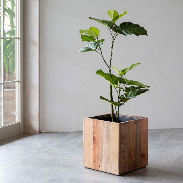 フェイクグリーン フィカス ウンベラータ 鉢付 観葉植物 グリーン アーティフィシャルプランツ フェイクプランツ ポット付 ボタニカル インテリア カフェ 99092 | ブランド登録なし | 09