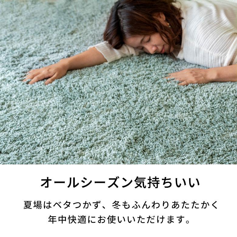 洗える ラグ シャギーラグ ラグマット カーペット 直径約185cm マイクロファイバー 円形 滑り止め 絨毯 ウォッシャブル 床暖房対応 滑り止め付き a100-185r | ELEMENTS（インテリア） | 14