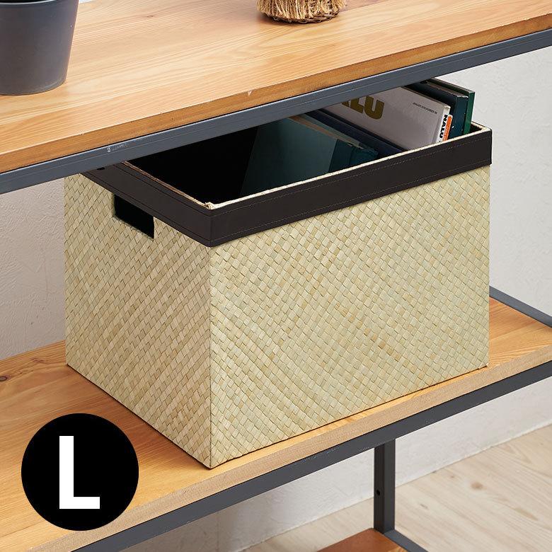 収納 ボックス パンダン Lサイズ ケース 箱 インナーボックス カラーボックス 対応 引き出し 小物 入れ 整理 おしゃれ インテリア モダン 西海岸 bl-11744 | ELEMENTS（インテリア）